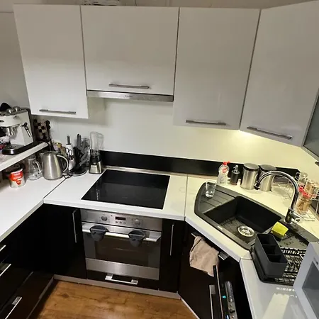 Parkside Modern Haven - Spacious & Serene In Apartament Koszyce