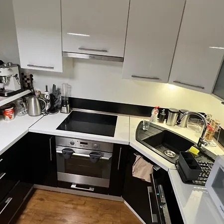 Parkside Modern Haven - Spacious & Serene In Apartament