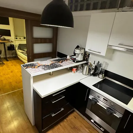 Parkside Modern Haven - Spacious & Serene In Apartament Koszyce